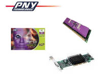 PNY Geforce VCG308010LTFXP-BLK