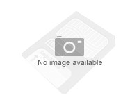 Integral Europe Carte SD INSDH32G-100V30