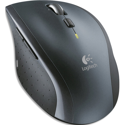 Logitech Souris 910-001949