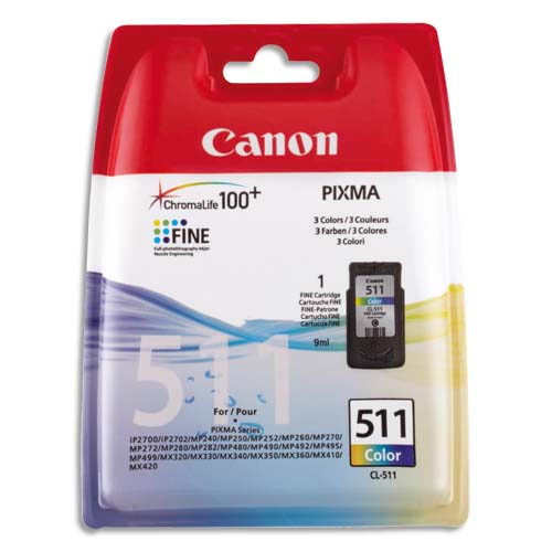Canon Cartouches Jet d'encre 2972B001